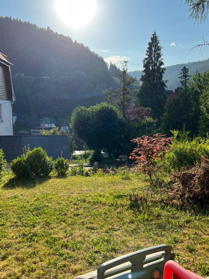 Viva La Wildbad Apartment Bad Wildbad Ngoại thất bức ảnh