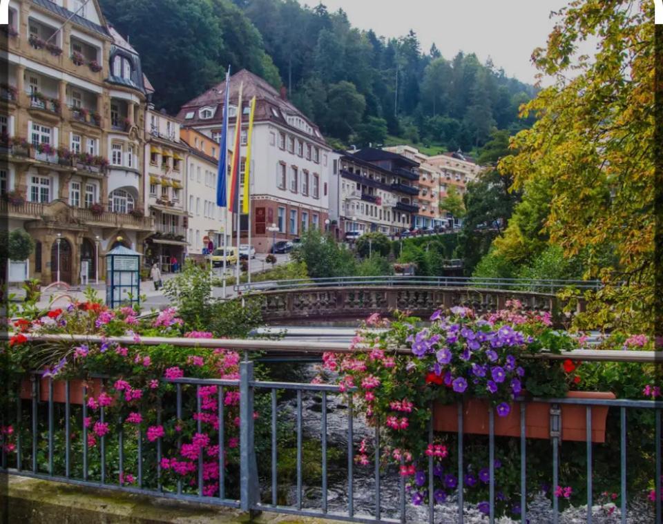 Viva La Wildbad Apartment Bad Wildbad Ngoại thất bức ảnh