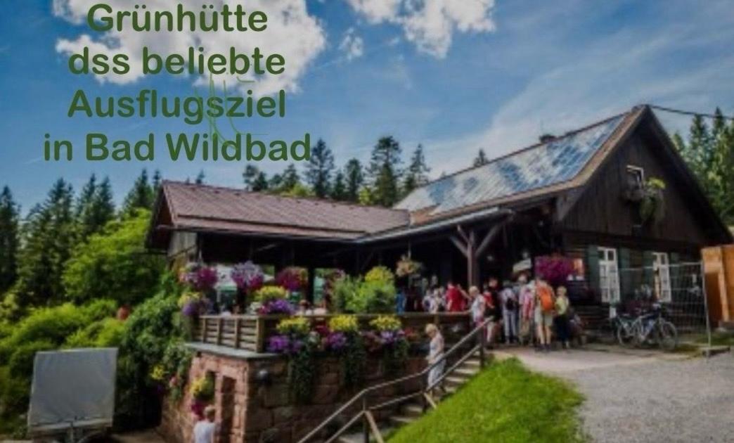 Viva La Wildbad Apartment Bad Wildbad Ngoại thất bức ảnh