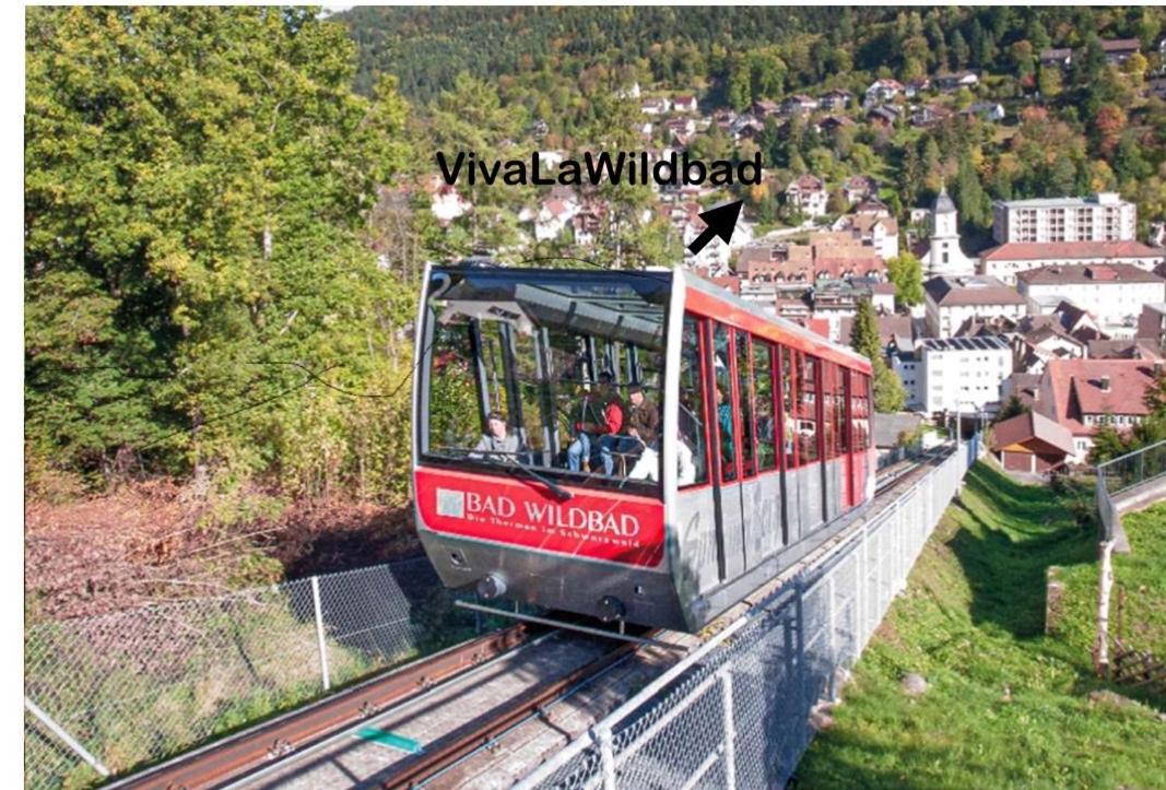 Viva La Wildbad Apartment Bad Wildbad Ngoại thất bức ảnh
